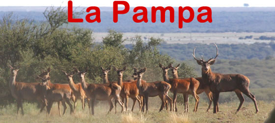 GUIA DE TURISMO EN ARGENTINA guia de turismo en argentina: